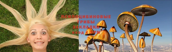 прущие крисы Алексин