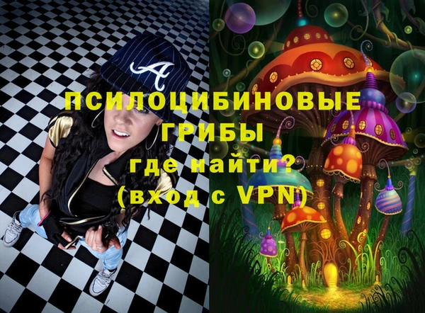 ГАЛЛЮЦИНОГЕННЫЕ ГРИБЫ Алзамай