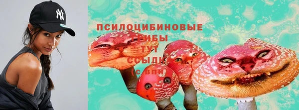 прущие крисы Алексин